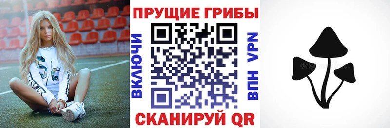 Купить  Трубчевск  Псилоцибиновые грибы Cubensis 